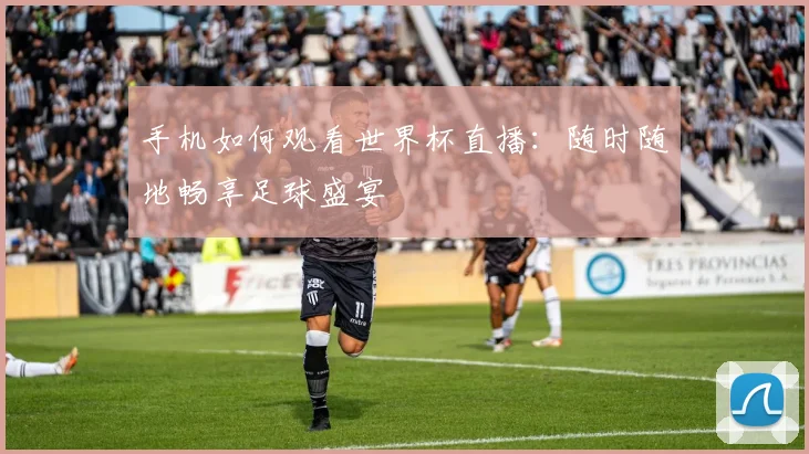 手机如何观看世界杯直播：随时随地畅享足球盛宴